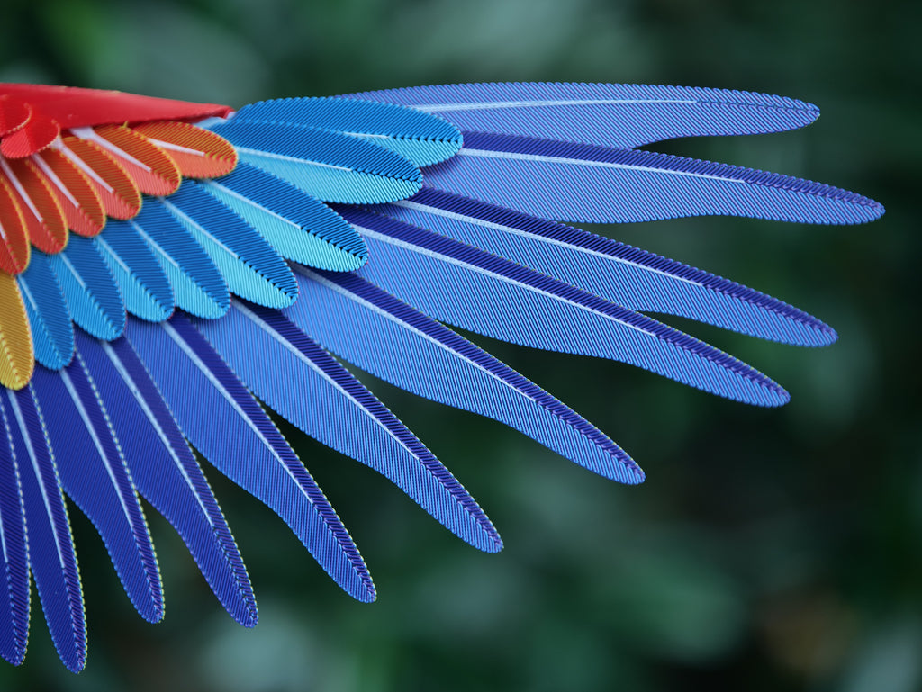 Macaw Life Size - 3D Sculpture