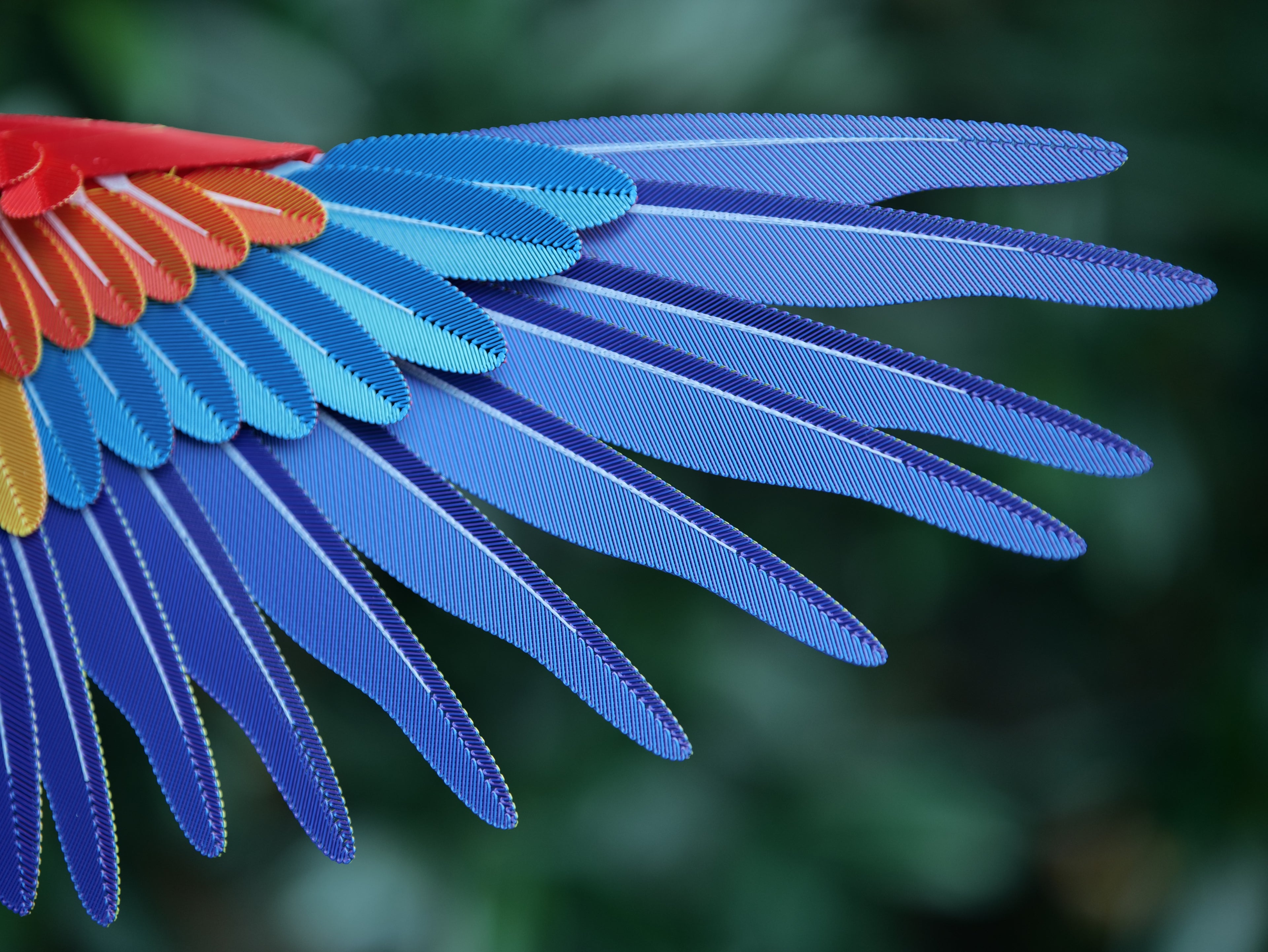 Macaw Life Size - 3D Sculpture